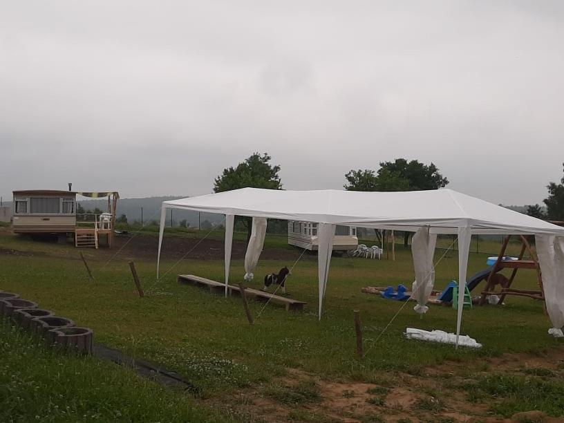 Zerkowice Gosp. Agroturystyczne Stary Gaj 빌라 외부 사진