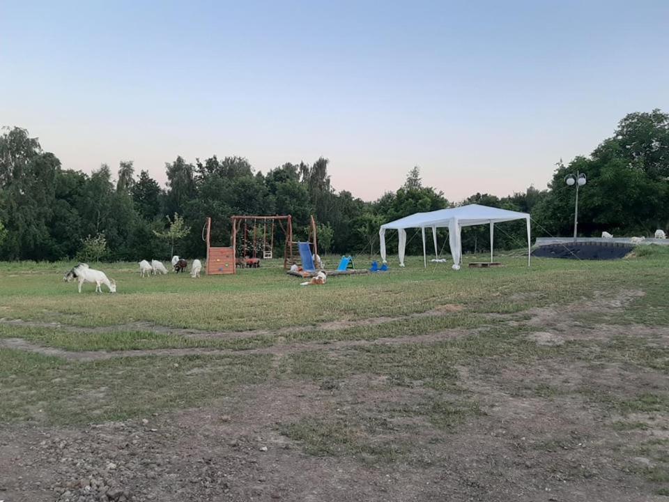 Zerkowice Gosp. Agroturystyczne Stary Gaj 빌라 외부 사진