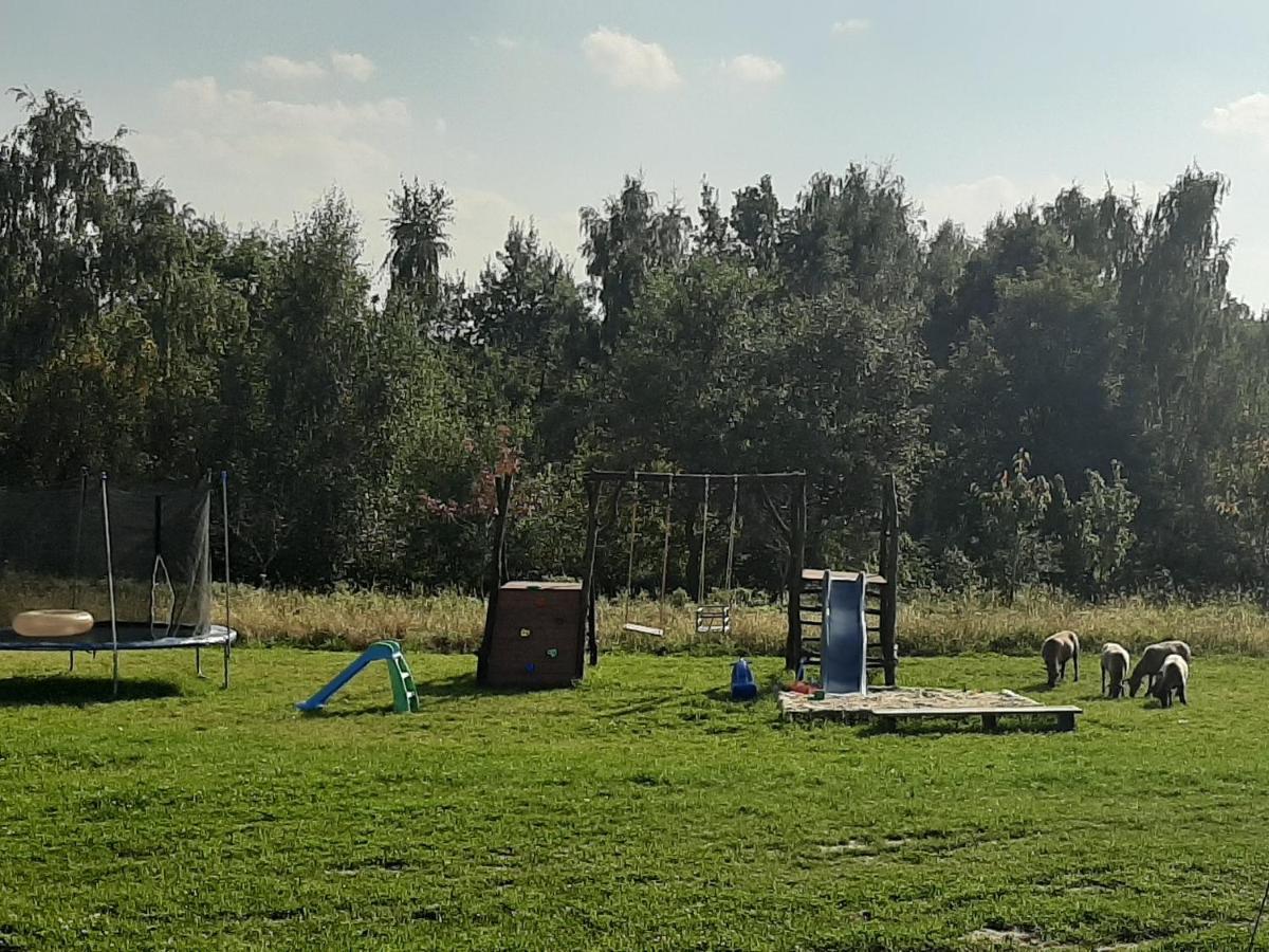 Zerkowice Gosp. Agroturystyczne Stary Gaj 빌라 외부 사진